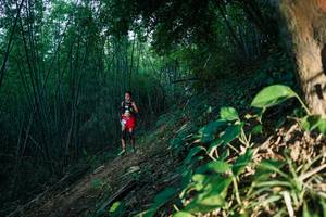 BIB: 
                            <button type="button" onclick="openModal(28123672)" class="btn btn-primary btn-sm float-right btn-popup" data-toggle="modal" data-target=".modal-high-quality">
                        <i class="fas fa-shopping-cart"></i> Add to Cart
                    </button>
                                            <button type="button" onclick="isThisMe(28123672, true)" class="btn btn-success btn-sm float-right btn-popup btn-isme hidden" data-toggle="tooltip" data-placement="bottom" title="นี่คือรูปของคุณใช่ไหม คลิกที่นี่เพื่อเอาเข้าอัลบั้ม">
                        <i class="fas fa-plus"></i> Add to album
                    </button>
                    <button type="button" onclick="isThisMe(28123672, false)" class="btn btn-warning btn-sm float-right btn-popup btn-isnotme hidden">
                        <i class="fas fa-ban"></i> Remove from album
                    </button>